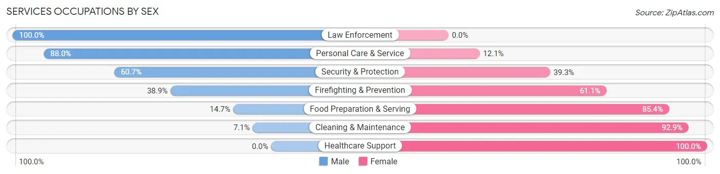 Services Occupations by Sex in Zip Code 28394