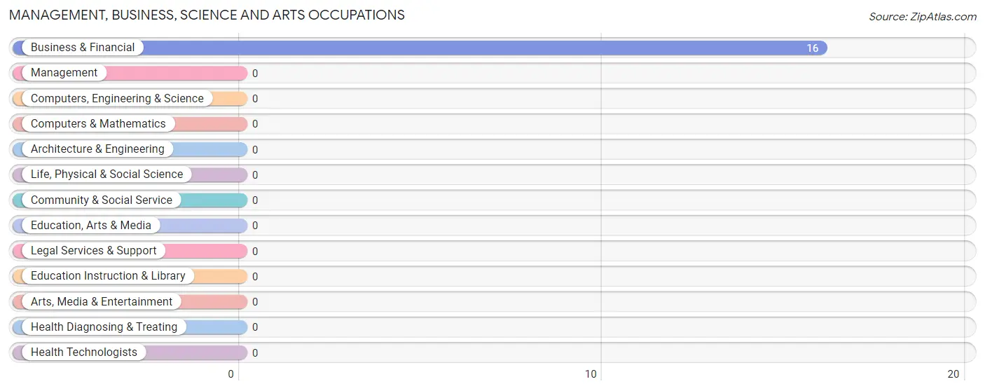 Management, Business, Science and Arts Occupations in Zip Code 28447