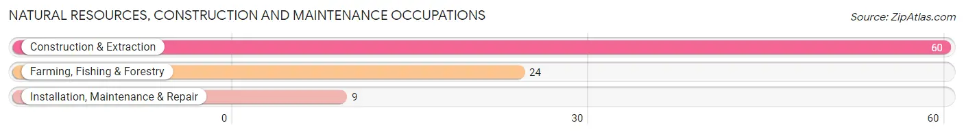 Natural Resources, Construction and Maintenance Occupations in Zip Code 28447