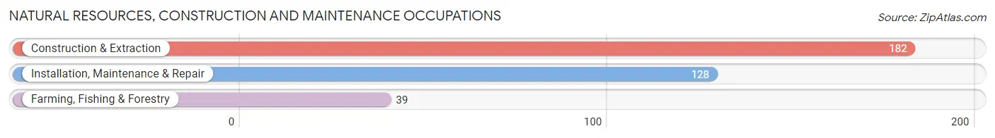 Natural Resources, Construction and Maintenance Occupations in Zip Code 28455