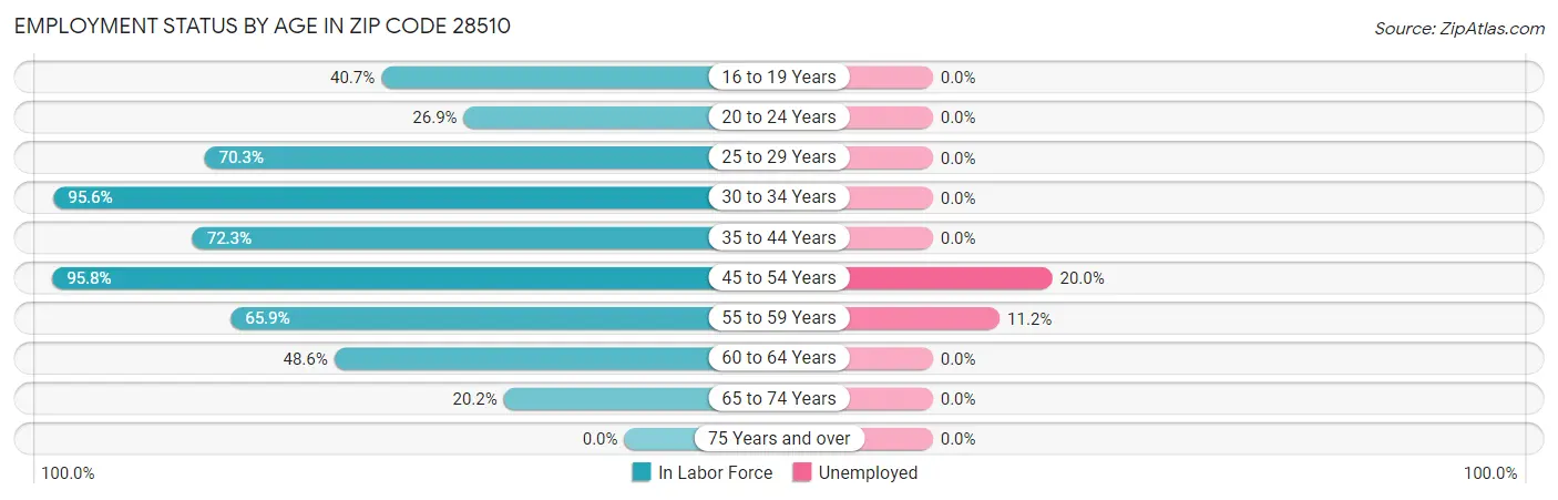 Employment Status by Age in Zip Code 28510