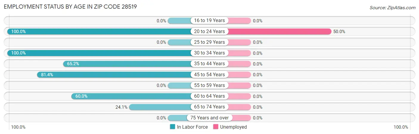 Employment Status by Age in Zip Code 28519