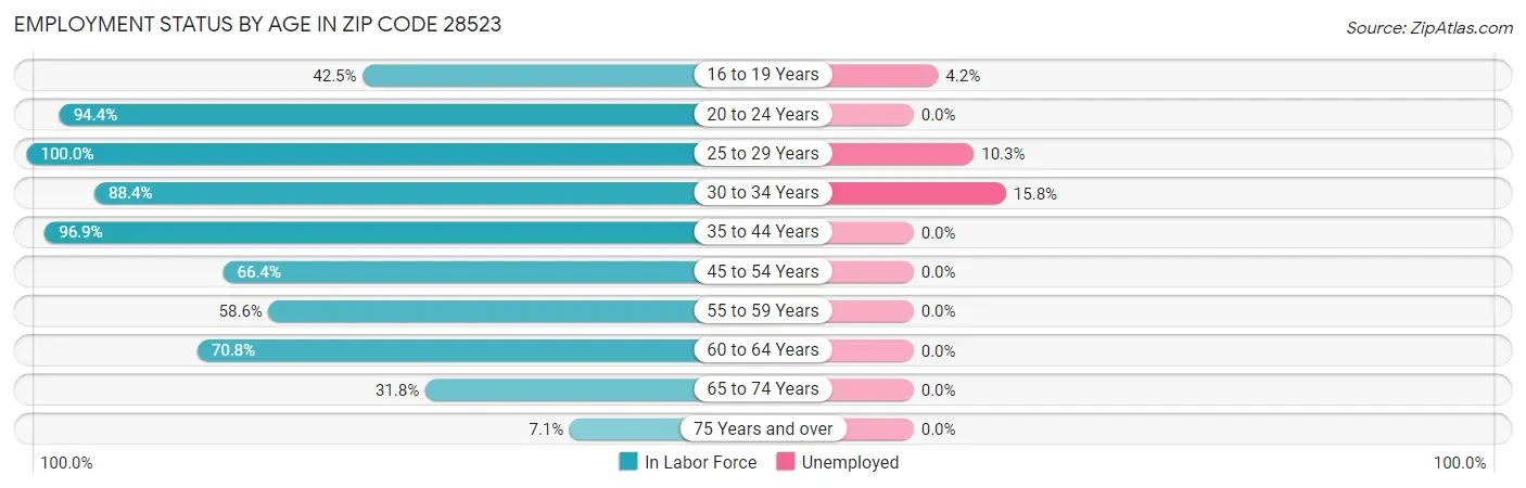 Employment Status by Age in Zip Code 28523