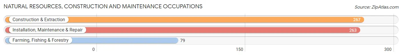 Natural Resources, Construction and Maintenance Occupations in Zip Code 28539