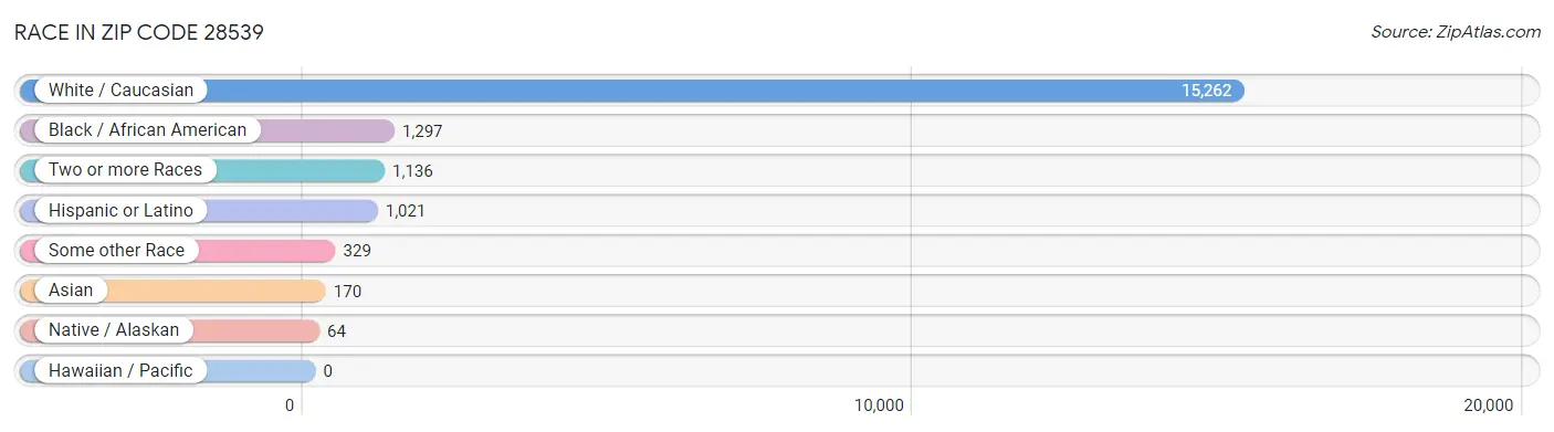 Race in Zip Code 28539