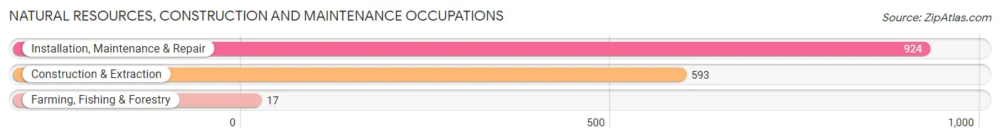 Natural Resources, Construction and Maintenance Occupations in Zip Code 28546