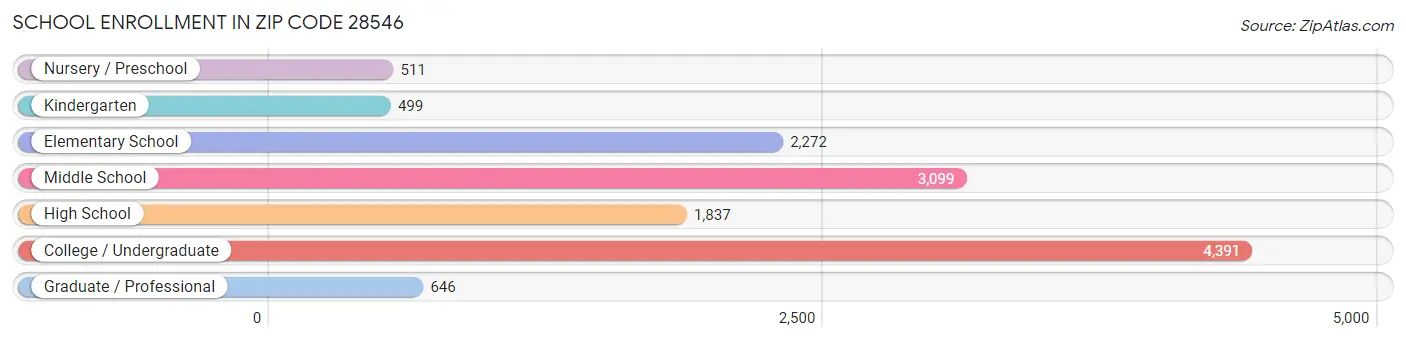 School Enrollment in Zip Code 28546