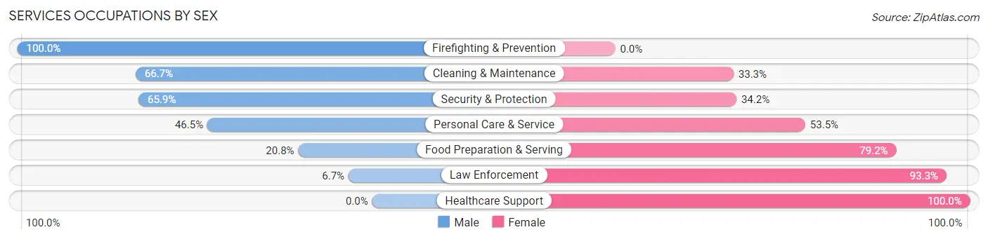 Services Occupations by Sex in Zip Code 28572