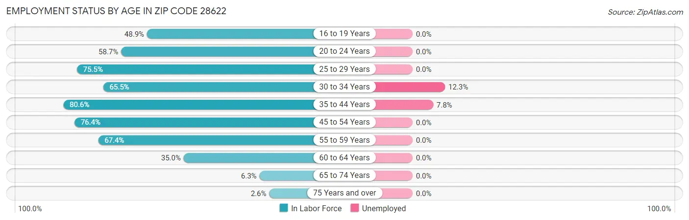 Employment Status by Age in Zip Code 28622