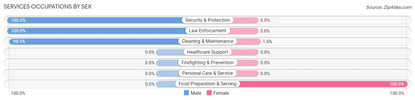 Services Occupations by Sex in Zip Code 28669