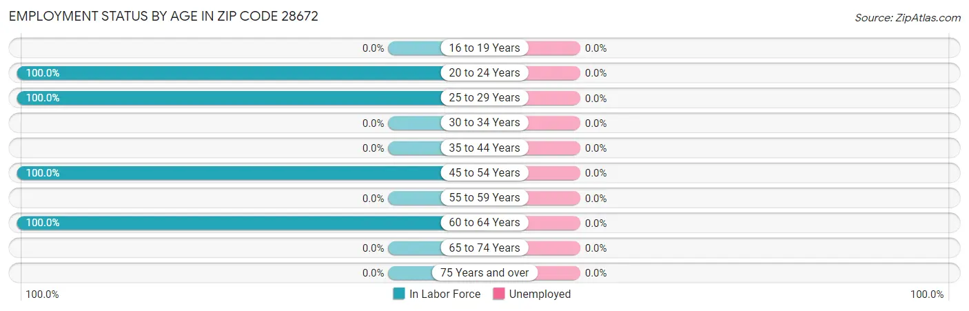 Employment Status by Age in Zip Code 28672