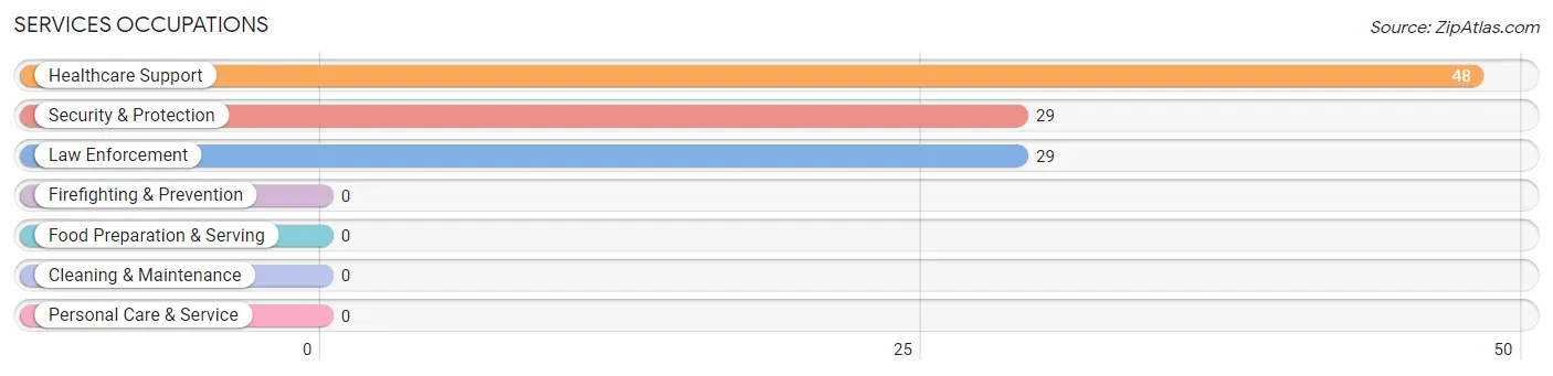 Services Occupations in Zip Code 28672