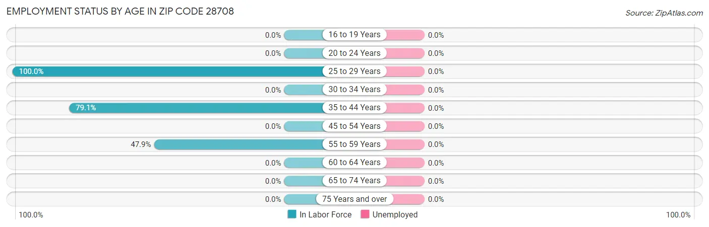 Employment Status by Age in Zip Code 28708