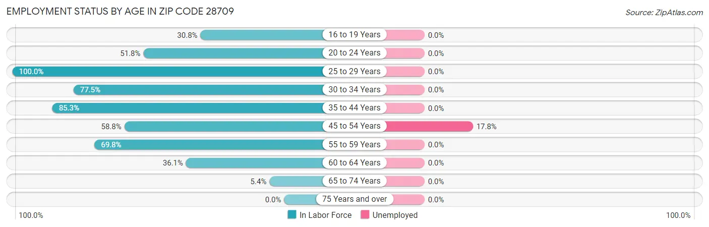 Employment Status by Age in Zip Code 28709