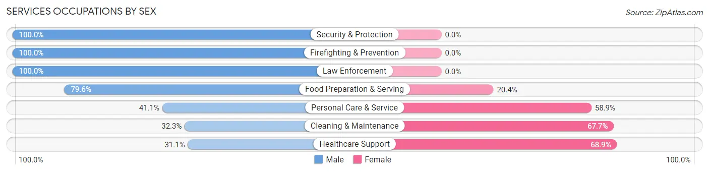 Services Occupations by Sex in Zip Code 28719