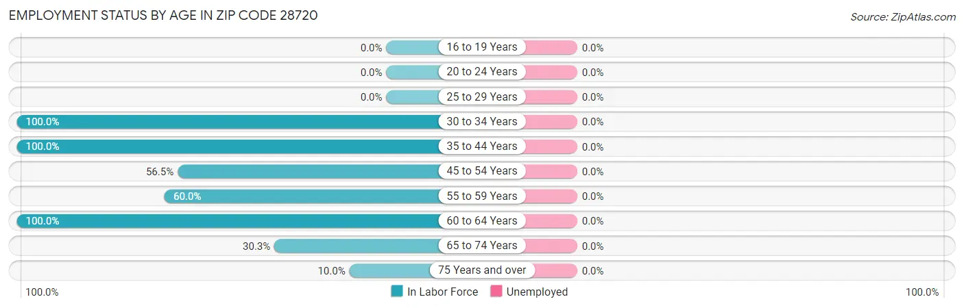 Employment Status by Age in Zip Code 28720