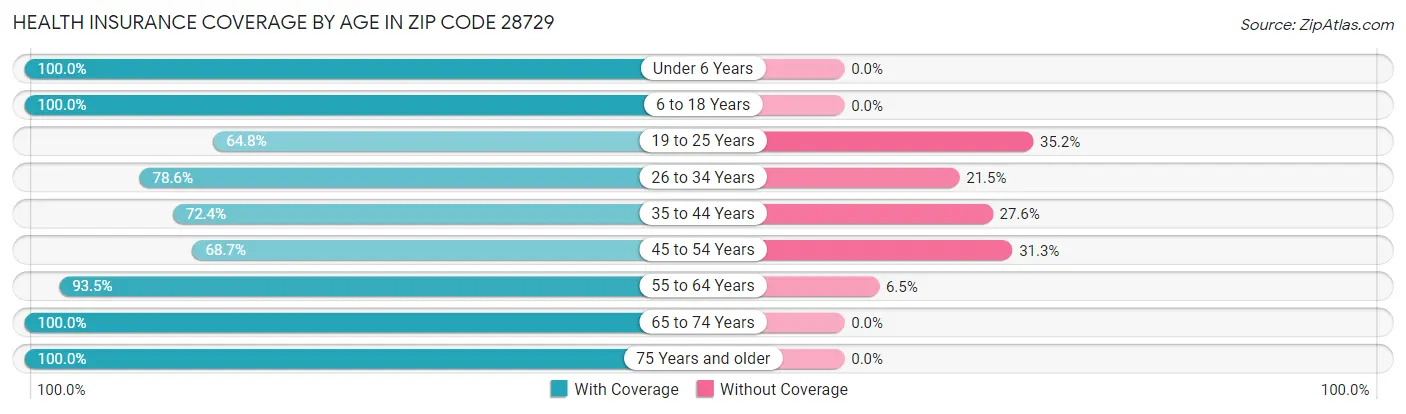 Health Insurance Coverage by Age in Zip Code 28729