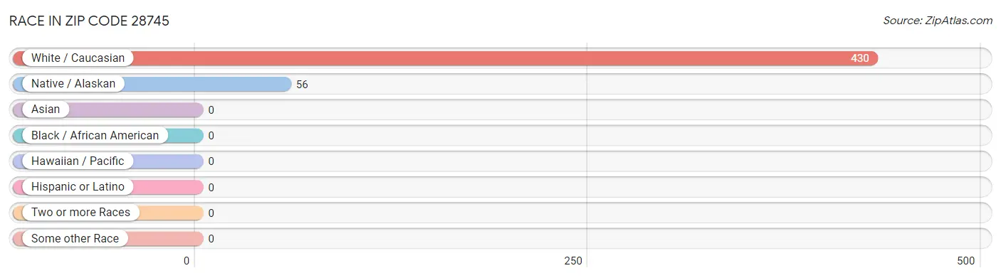 Race in Zip Code 28745