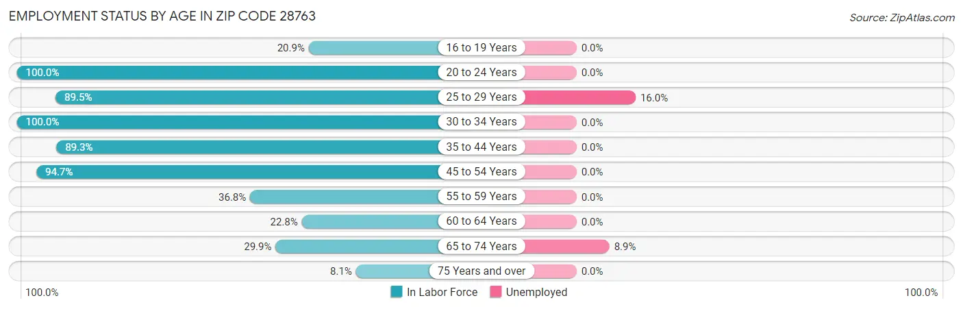 Employment Status by Age in Zip Code 28763