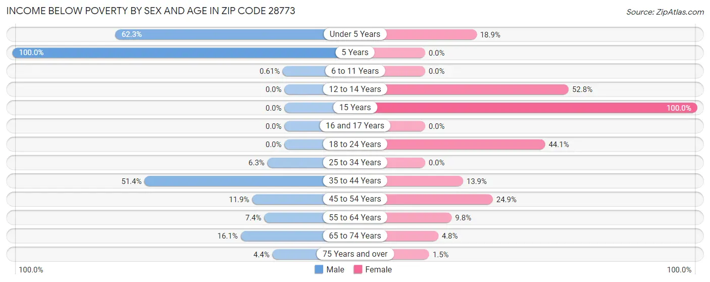 Income Below Poverty by Sex and Age in Zip Code 28773