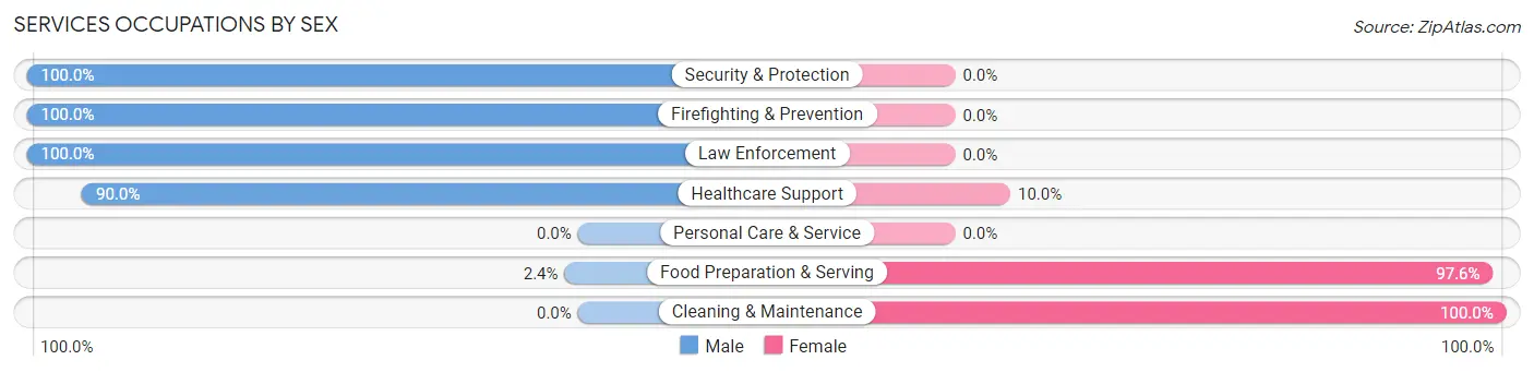 Services Occupations by Sex in Zip Code 28773