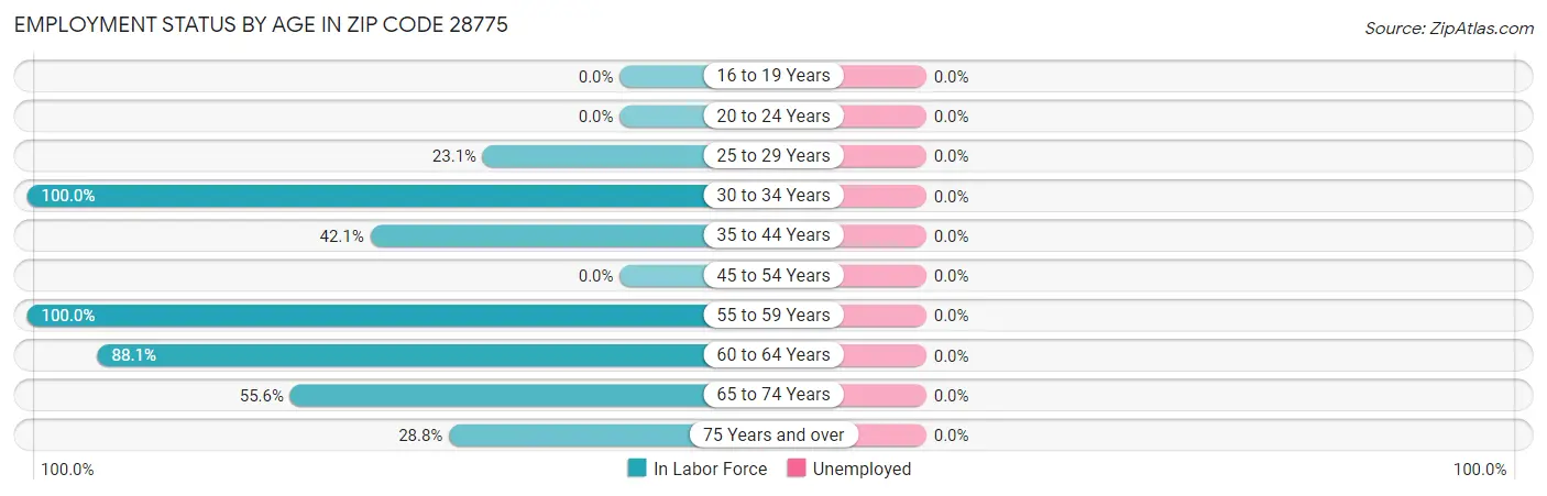 Employment Status by Age in Zip Code 28775