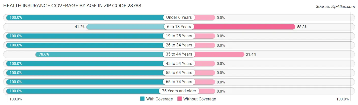 Health Insurance Coverage by Age in Zip Code 28788