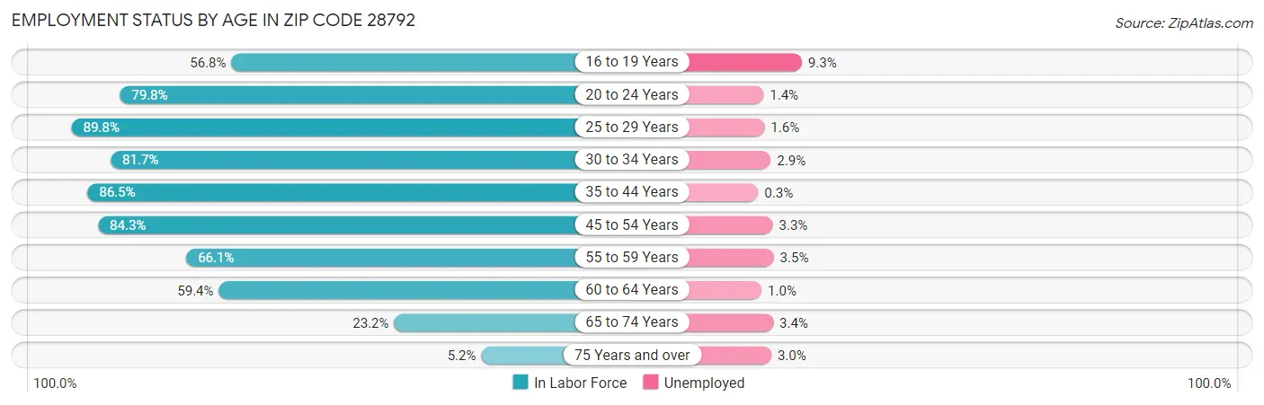 Employment Status by Age in Zip Code 28792