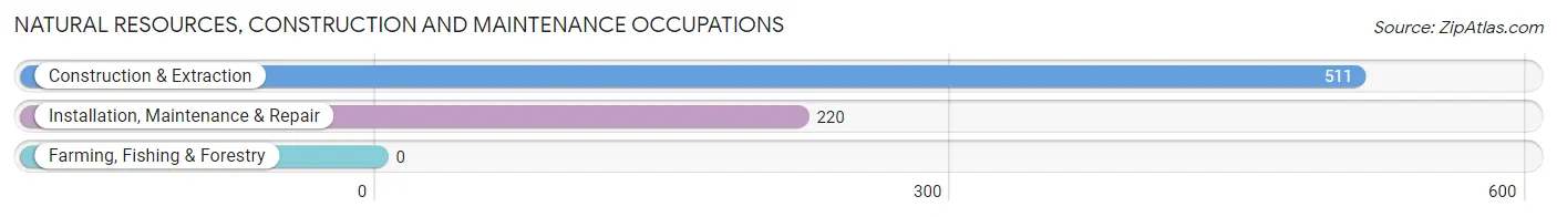 Natural Resources, Construction and Maintenance Occupations in Zip Code 29016