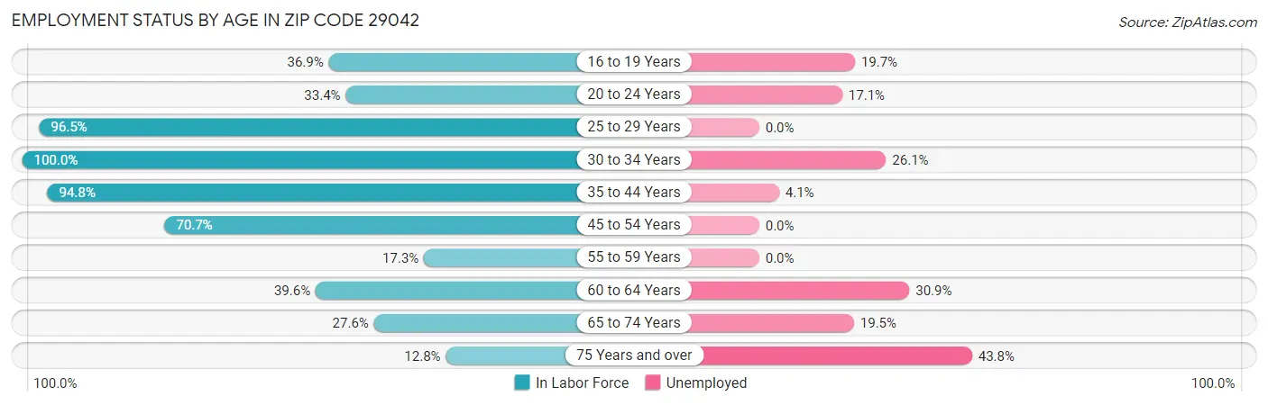 Employment Status by Age in Zip Code 29042