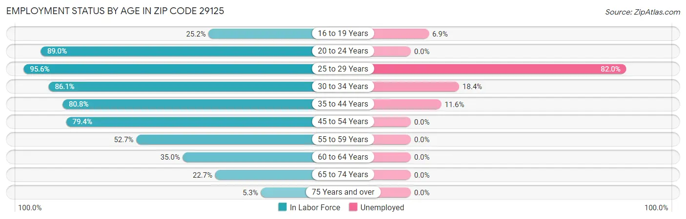 Employment Status by Age in Zip Code 29125