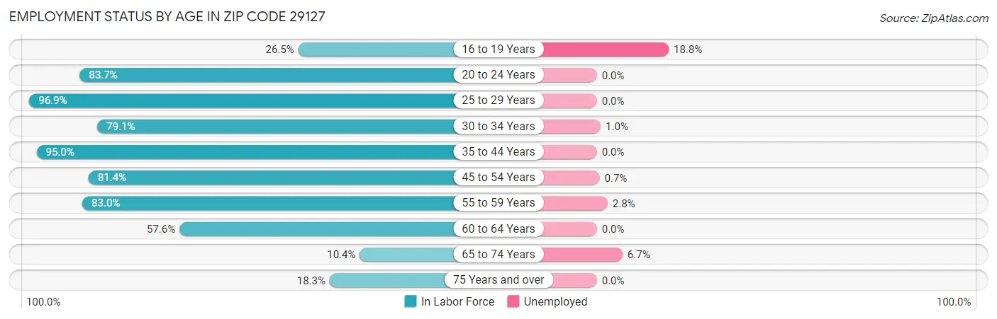 Employment Status by Age in Zip Code 29127