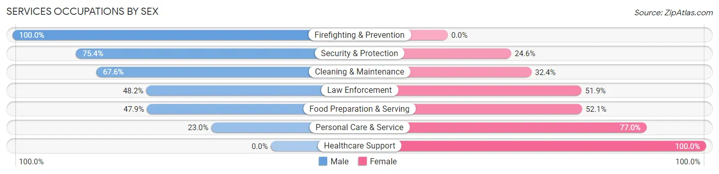 Services Occupations by Sex in Zip Code 29169