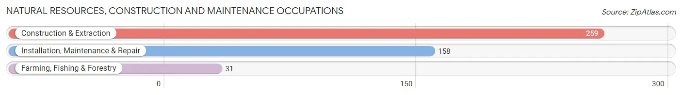 Natural Resources, Construction and Maintenance Occupations in Zip Code 29206