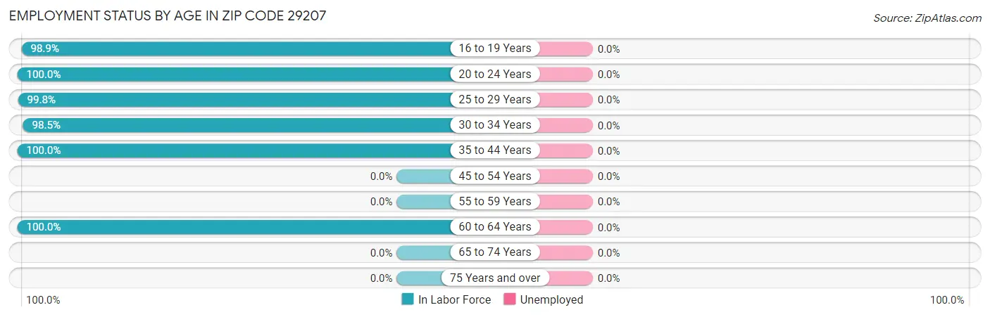 Employment Status by Age in Zip Code 29207