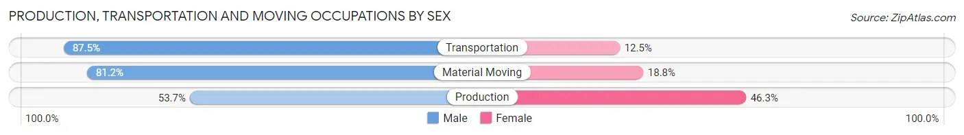 Production, Transportation and Moving Occupations by Sex in Zip Code 29306