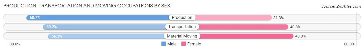 Production, Transportation and Moving Occupations by Sex in Zip Code 29321