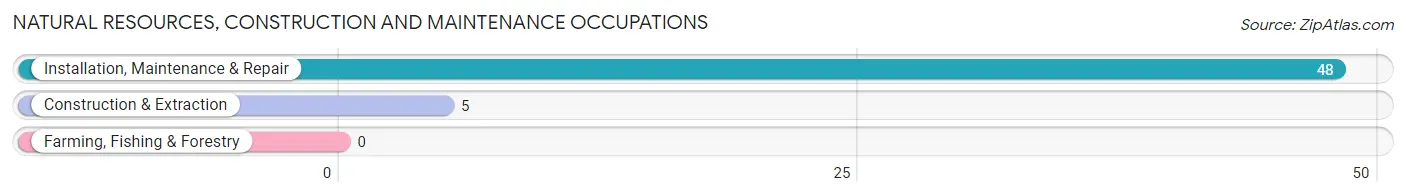 Natural Resources, Construction and Maintenance Occupations in Zip Code 29351