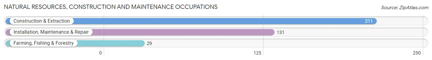 Natural Resources, Construction and Maintenance Occupations in Zip Code 29403