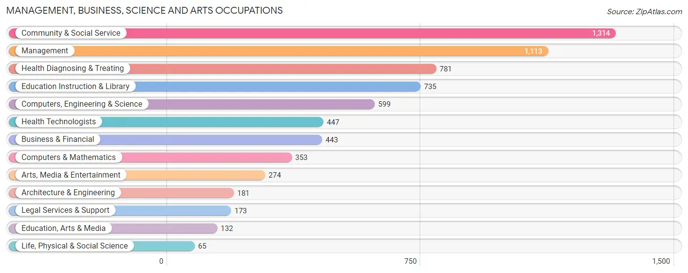 Management, Business, Science and Arts Occupations in Zip Code 29406