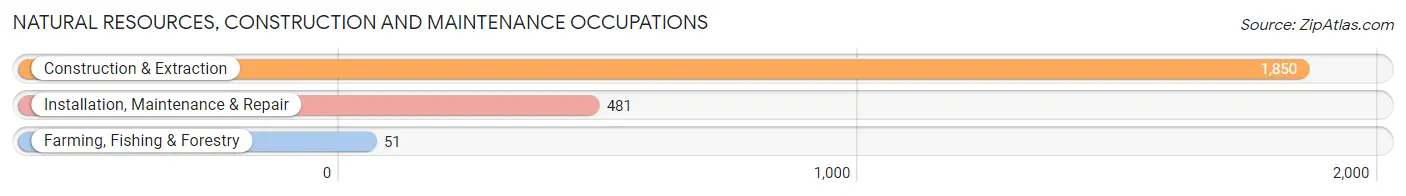 Natural Resources, Construction and Maintenance Occupations in Zip Code 29406