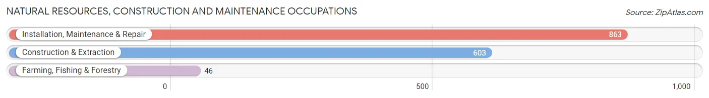 Natural Resources, Construction and Maintenance Occupations in Zip Code 29414