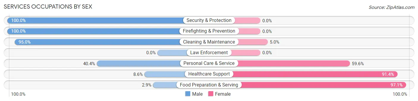 Services Occupations by Sex in Zip Code 29479
