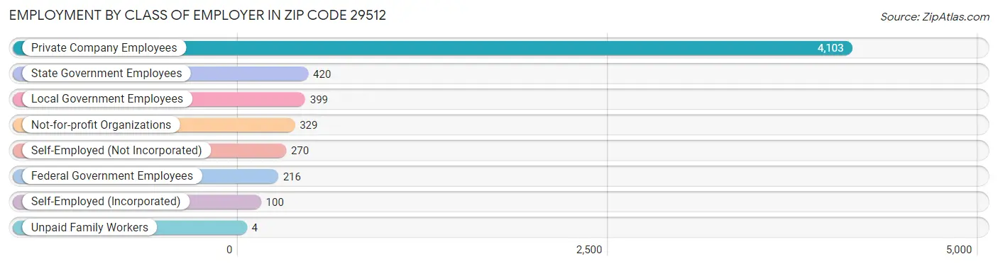 Employment by Class of Employer in Zip Code 29512