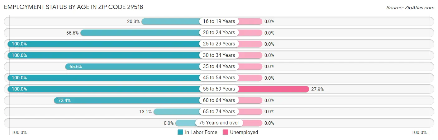 Employment Status by Age in Zip Code 29518