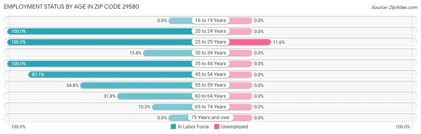 Employment Status by Age in Zip Code 29580