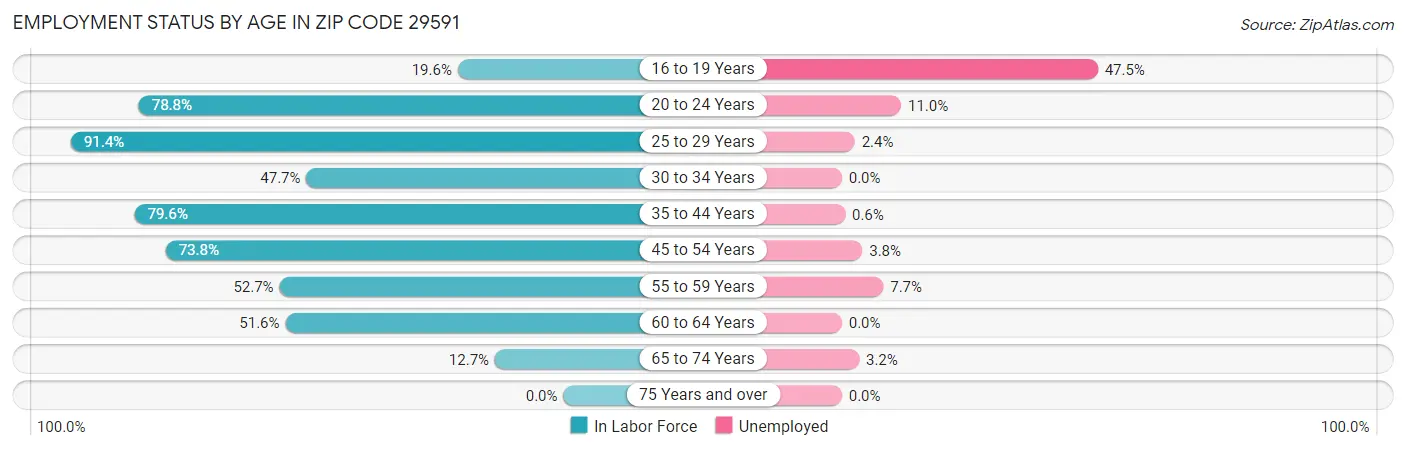 Employment Status by Age in Zip Code 29591