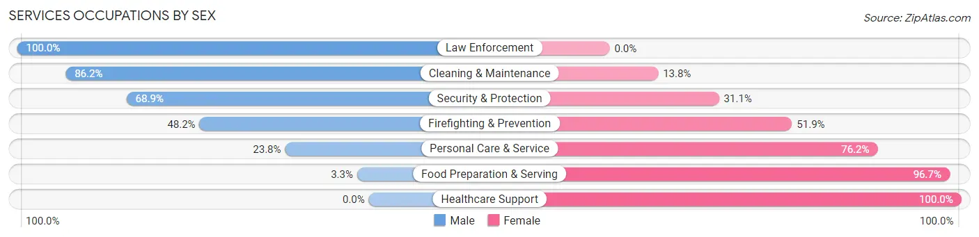 Services Occupations by Sex in Zip Code 29591