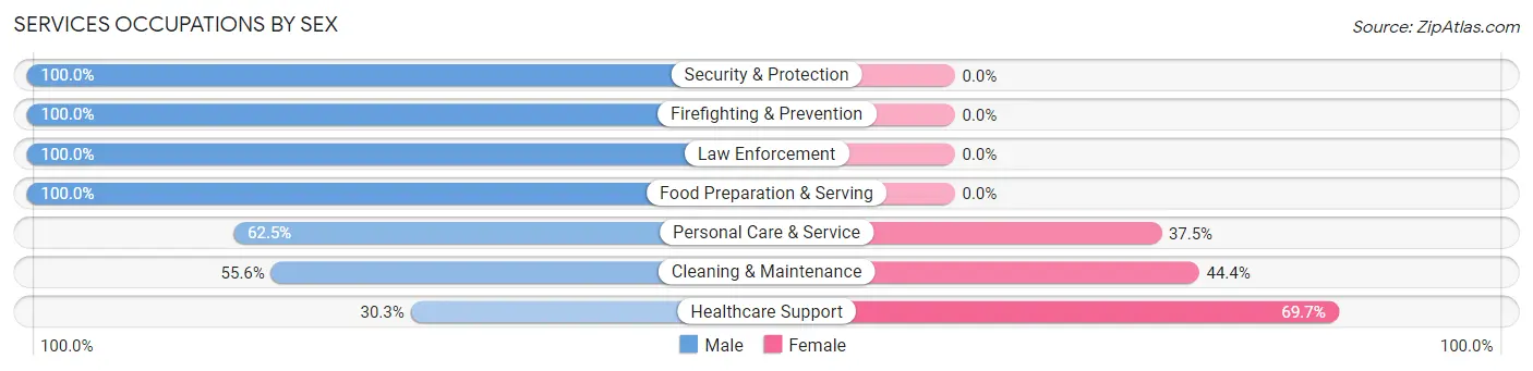 Services Occupations by Sex in Zip Code 29638