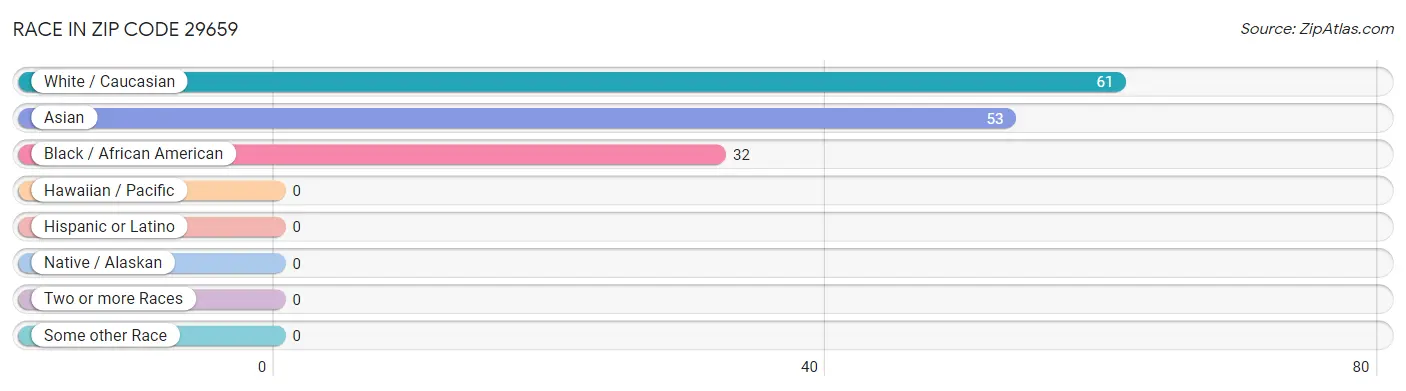 Race in Zip Code 29659